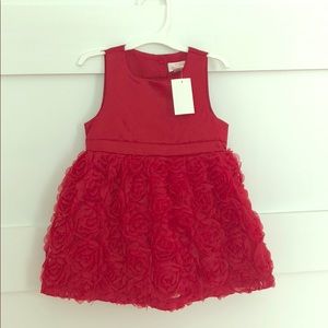 12M Cat and Jack red dress with roses
